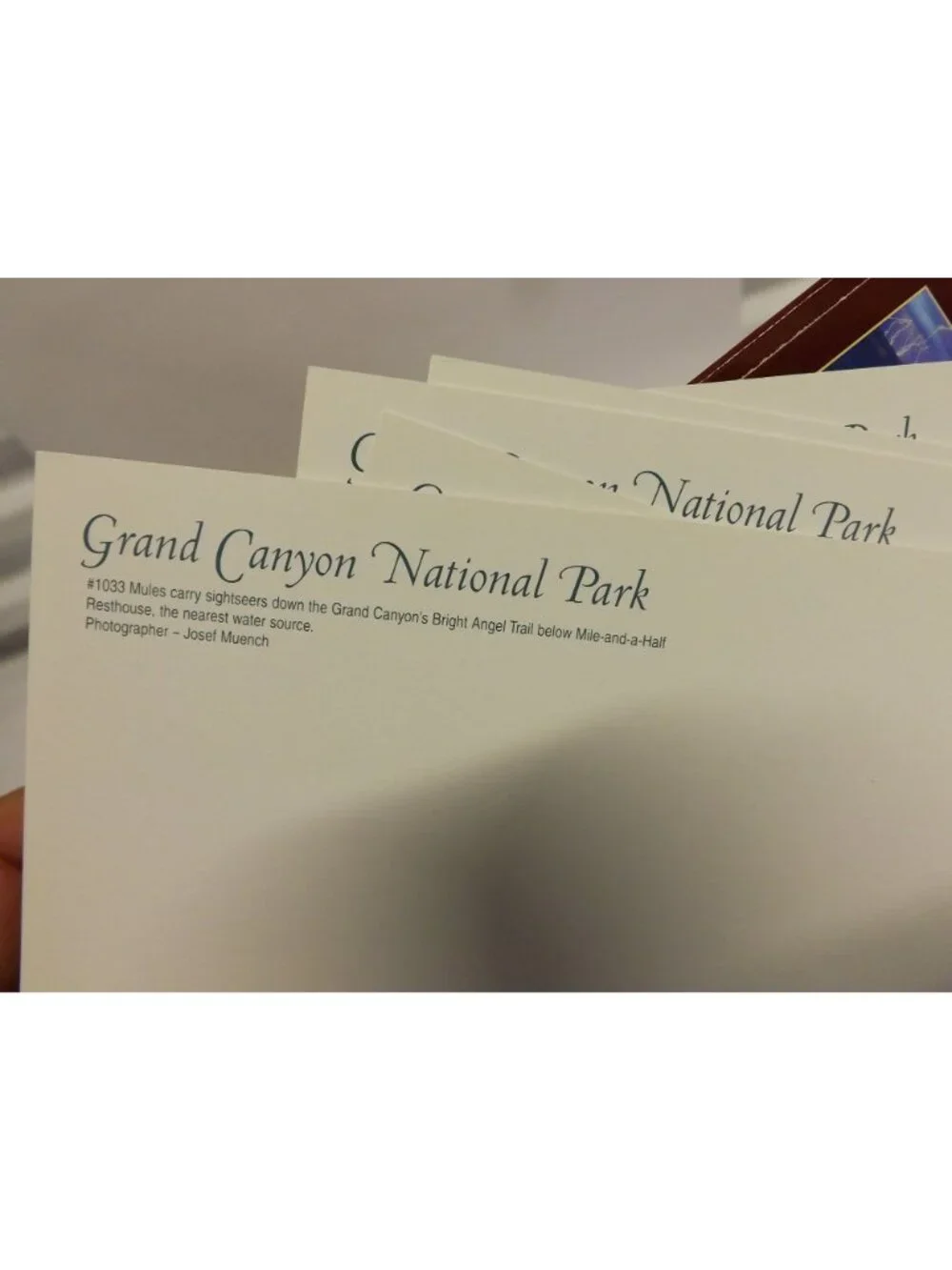 Grand Canyon National Park Postcards  Panoramic Prints Sets Collectible Souvenir